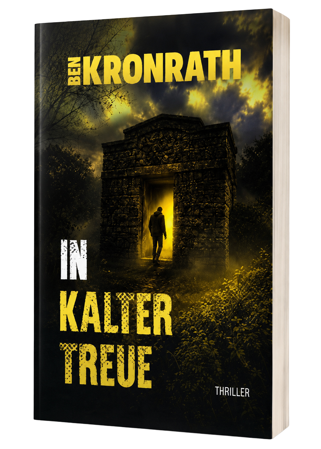 In kalter Treue Cover