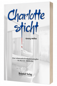 Charlotte sticht - Eine Lebensabschnittskatastrophe von Georg Hollas