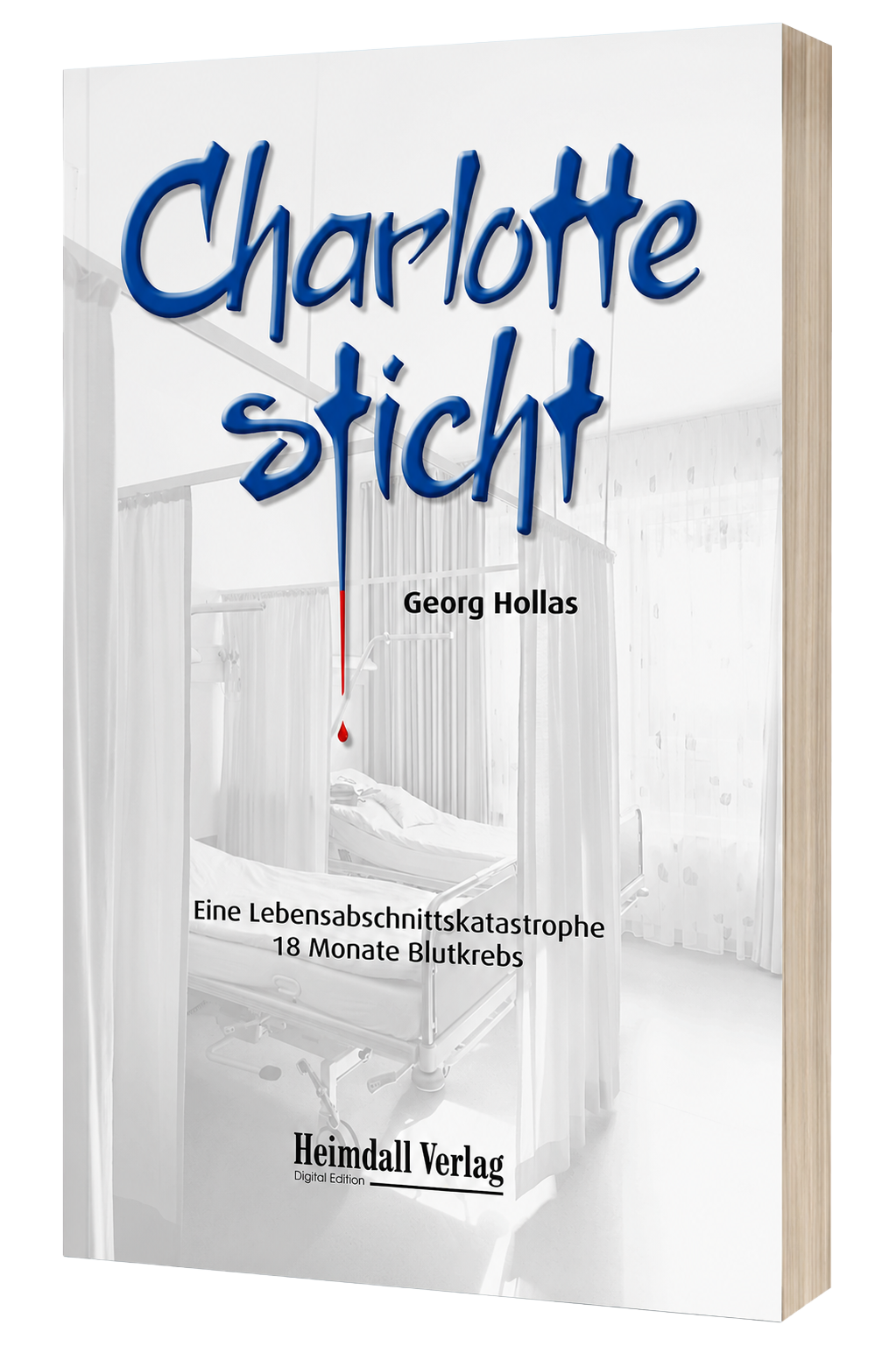 Charlotte sticht - Eine Lebensabschnittskatastrophe von Georg Hollas