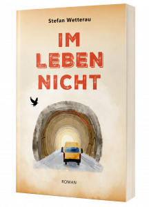 Im Leben nicht Cover