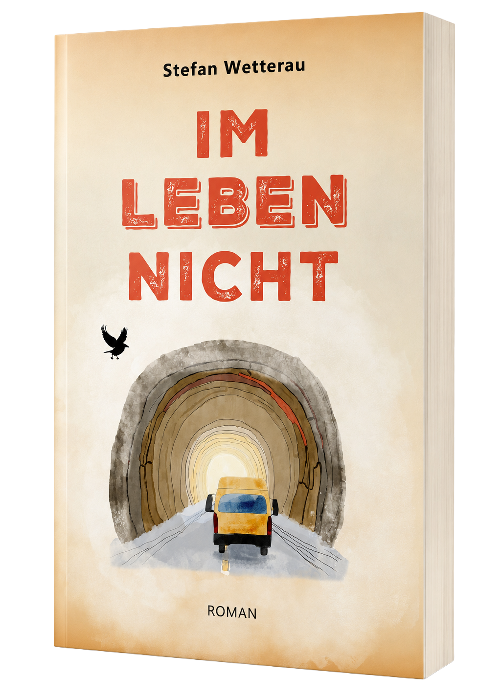 Im Leben nicht Cover