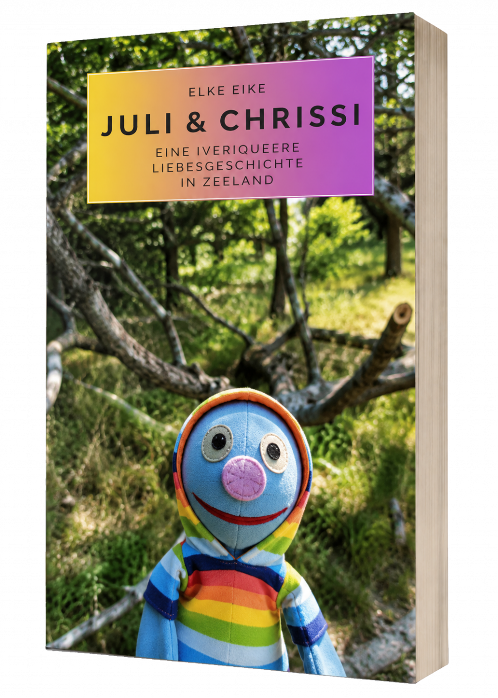 Juli und Chrissi Cover