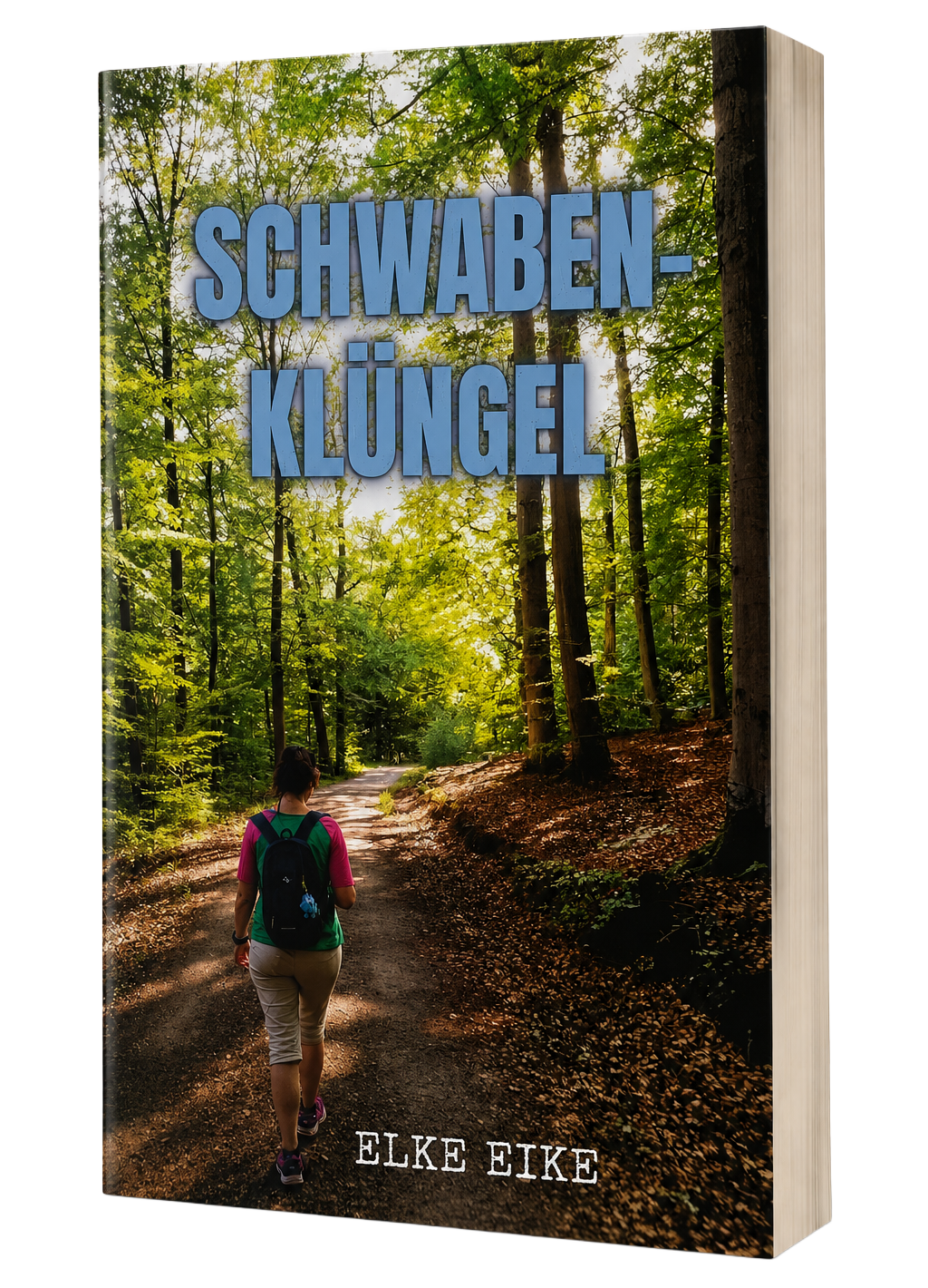 Schwabenkluengel Cover