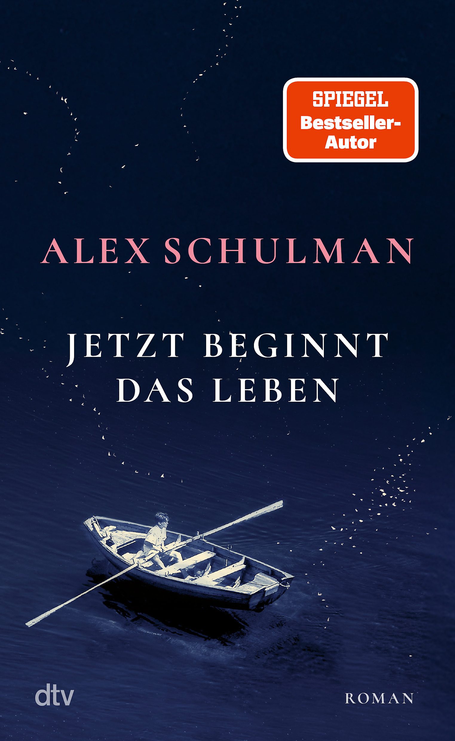 Jetzt beginnt das Leben von Alex Schulman (dtv)