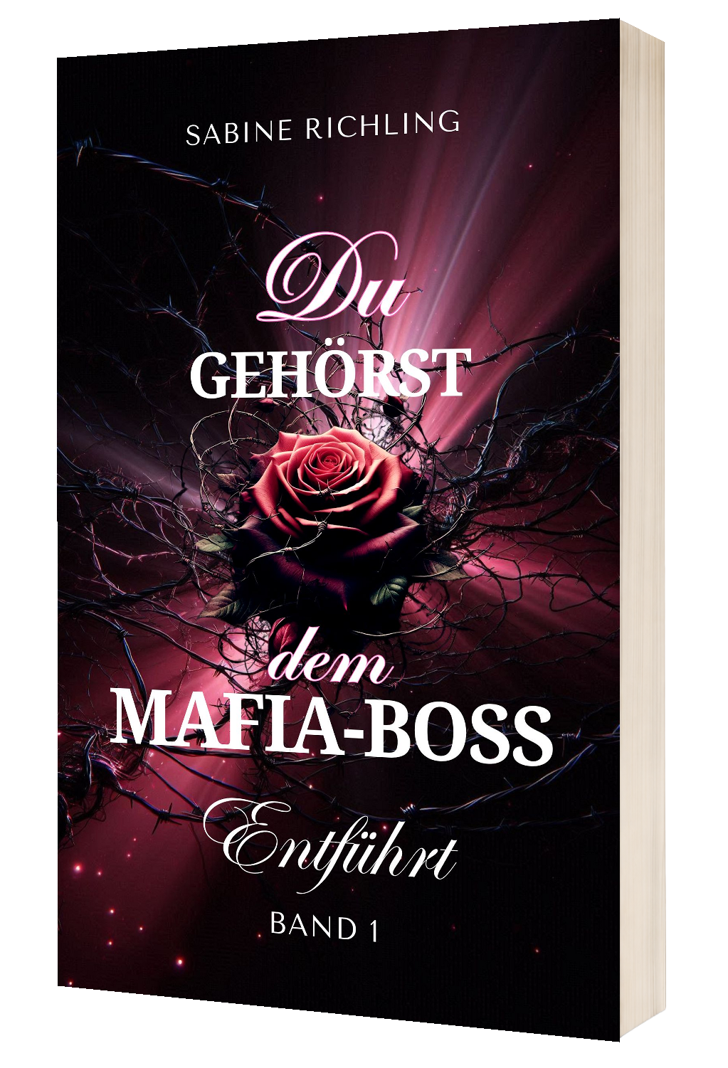 Du gehoerst dem Mafia-Boss Cover