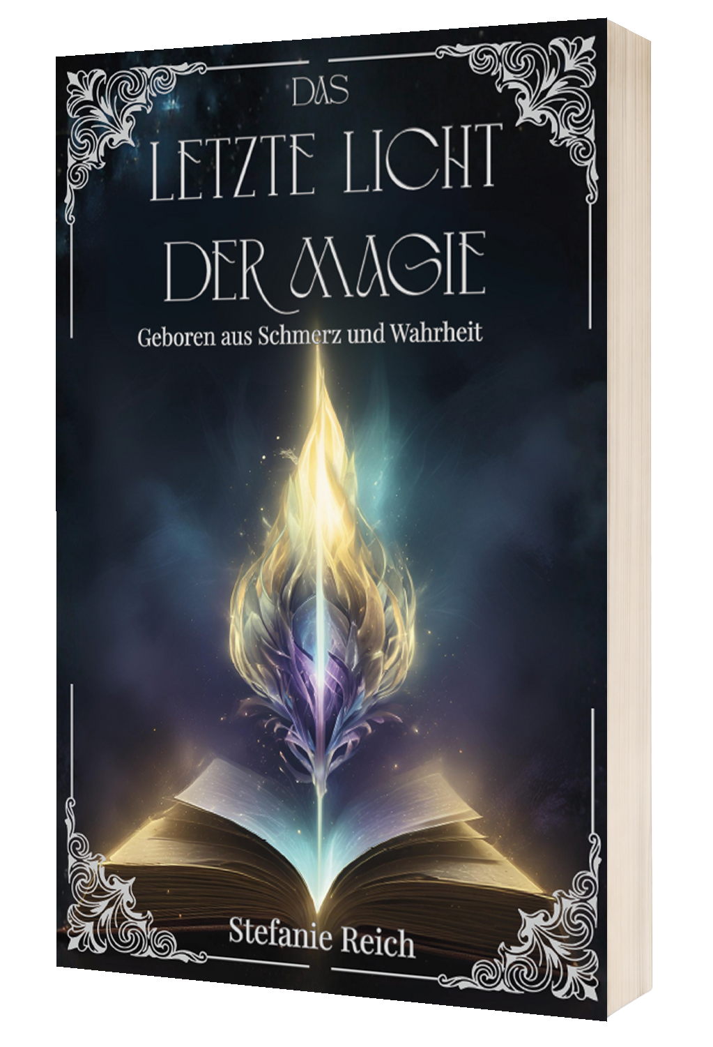 Das letzte Licht der Magie - Stefanie Reich