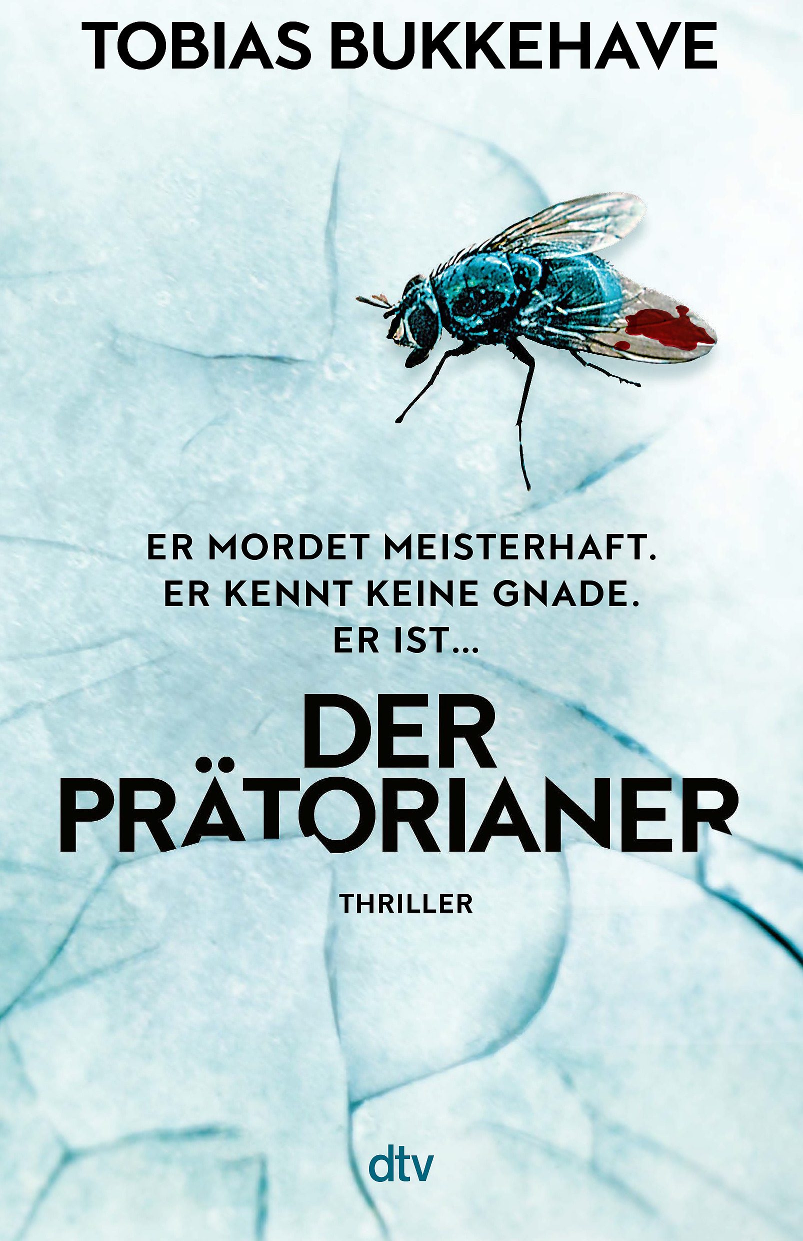 Der Prätorianer von Tobias Bukkehave (dtv)