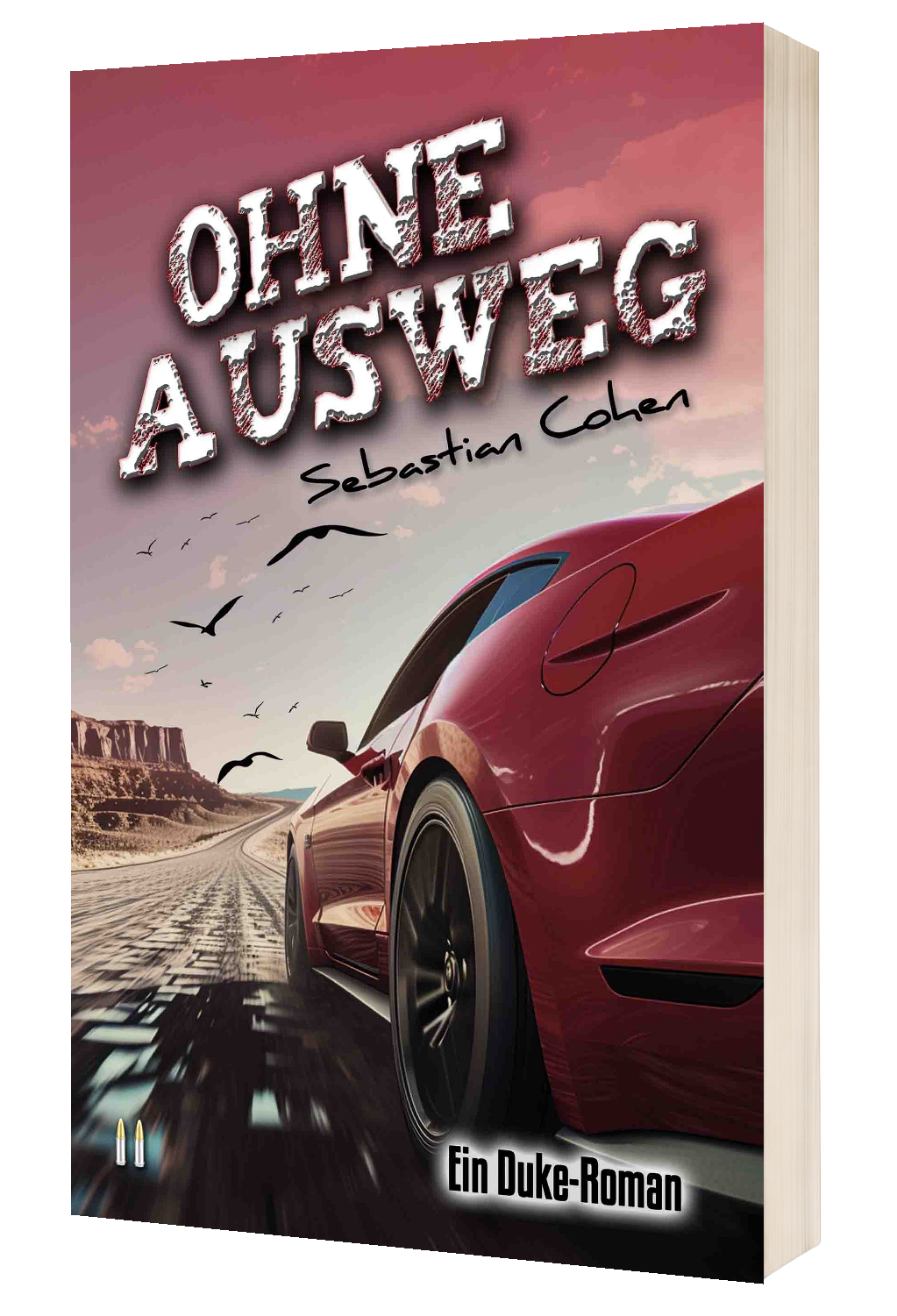 Ohne Ausweg - Cover
