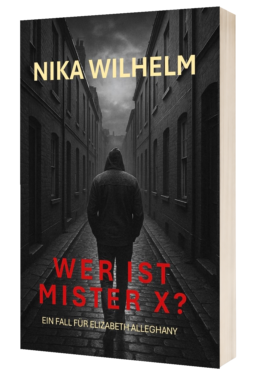 Wer ist Mister X Cover