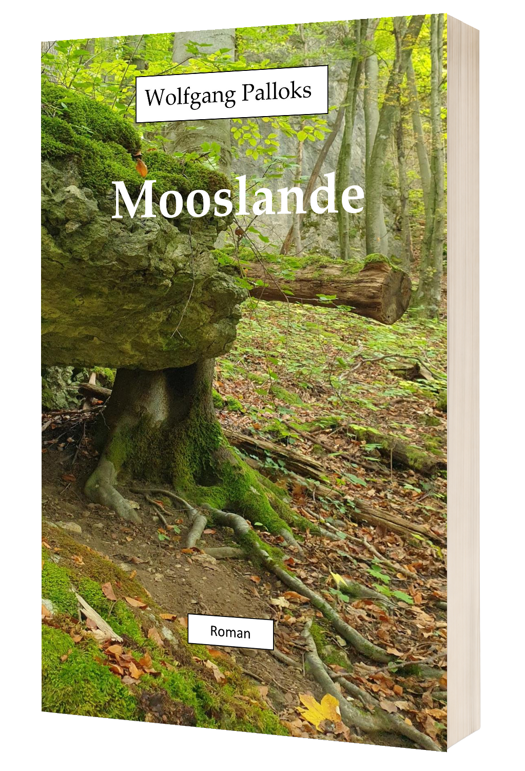 Mooslande Band 1 - Cover
