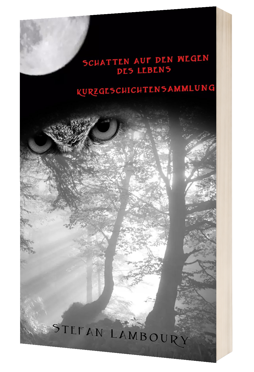 Schatten auf den Wegen des Lebens Cover