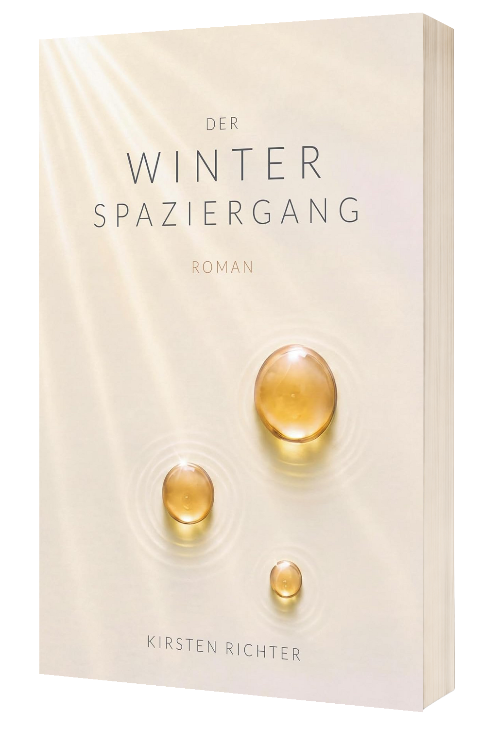 Der Winterspaziergang (3D-Mockup)