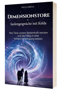 Dimensionstore - Cover