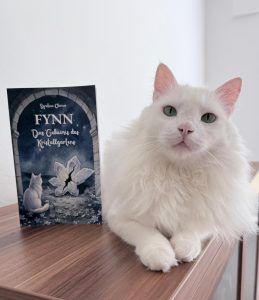 Der weiße Kater Fynn neben dem Buch „Fynn – Das Geheimnis des Kristallgartens“