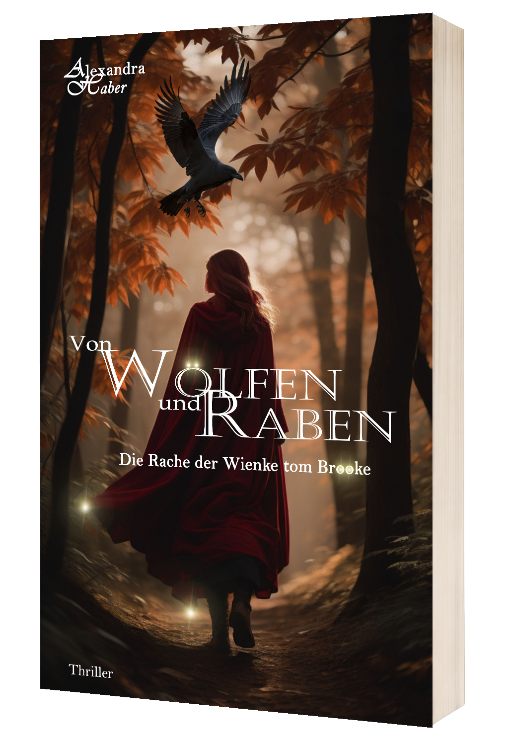 Die Rache der Wienke tom Brooke - Cover